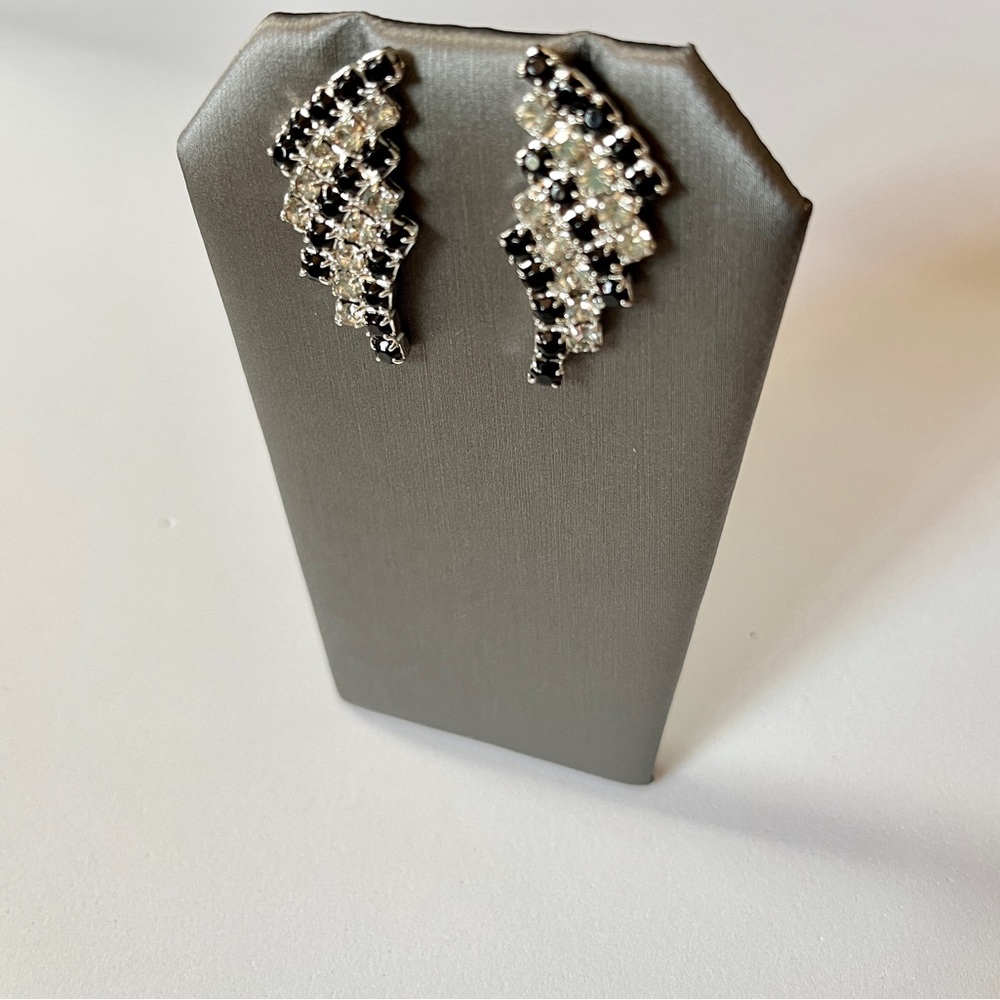 Fancy Pierced Earrings